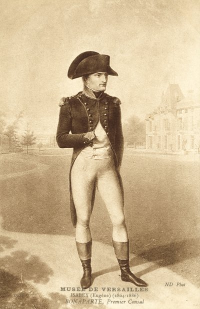 Napoleón Bonaparte, Primer Cónsul de French School